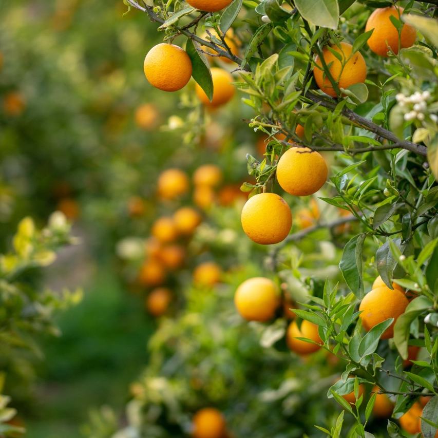 Illustration Notre vision